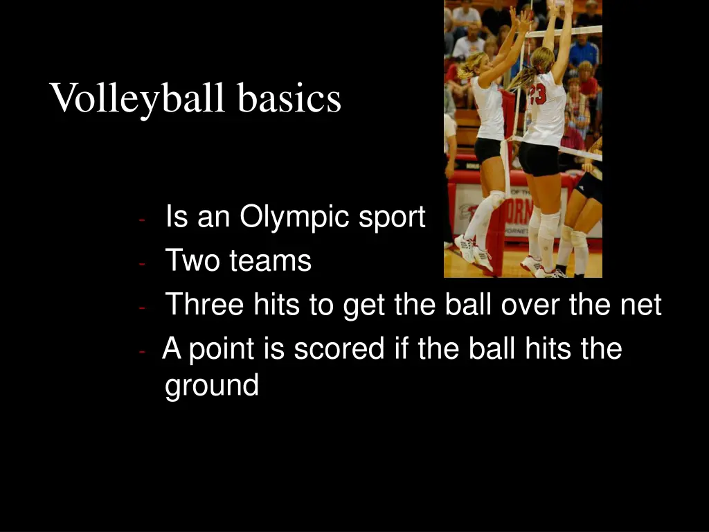 volleyball basics