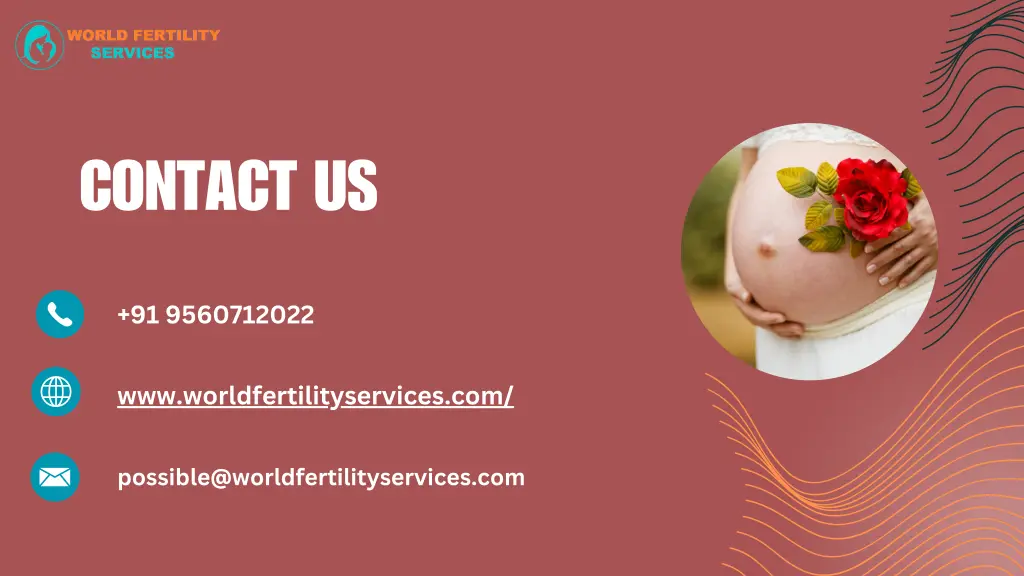 contact us