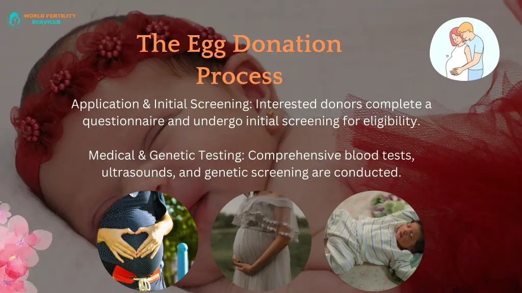 the egg donation process application initial