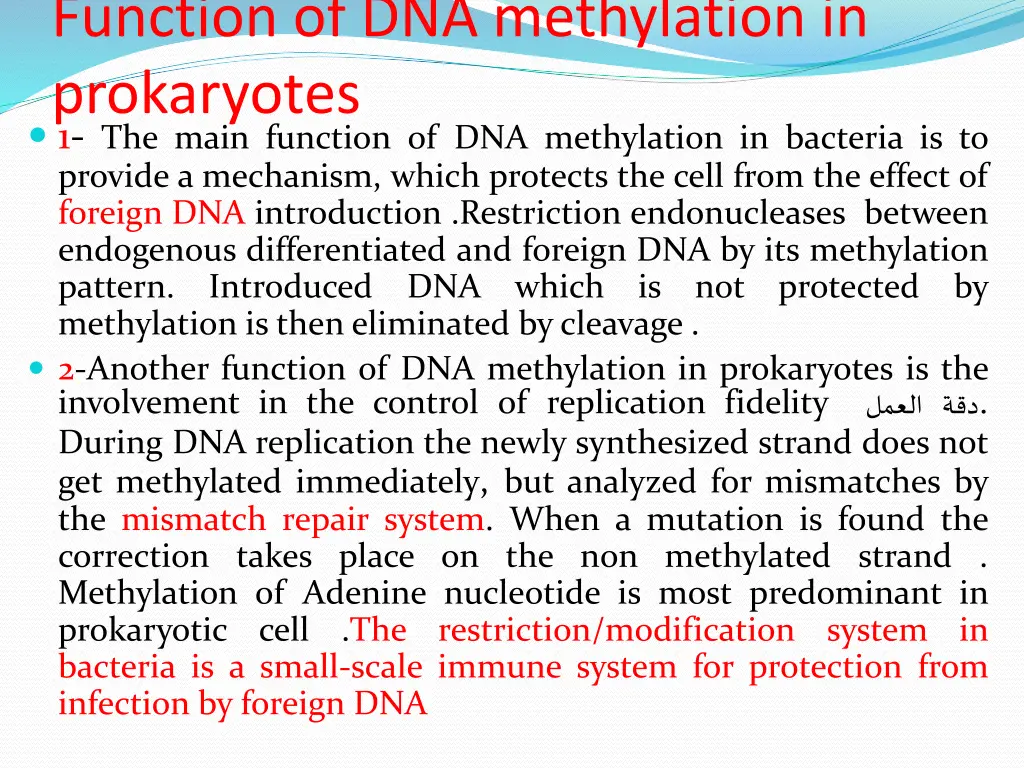 function of dna methylation in prokaryotes