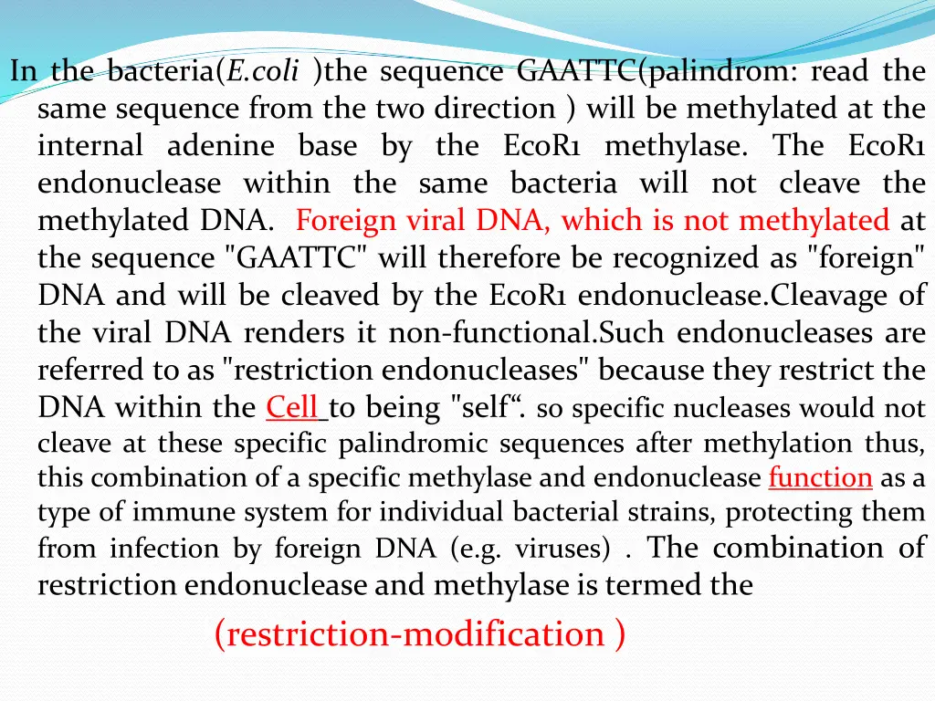 in the bacteria e coli the sequence gaattc