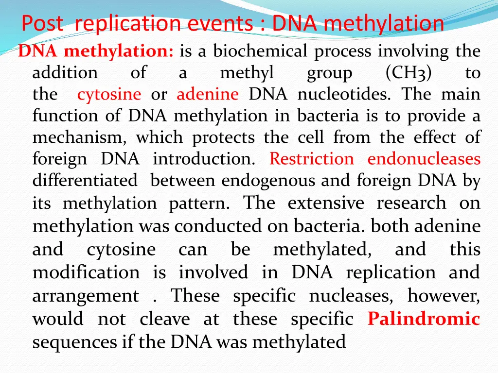 post replication events dna methylation