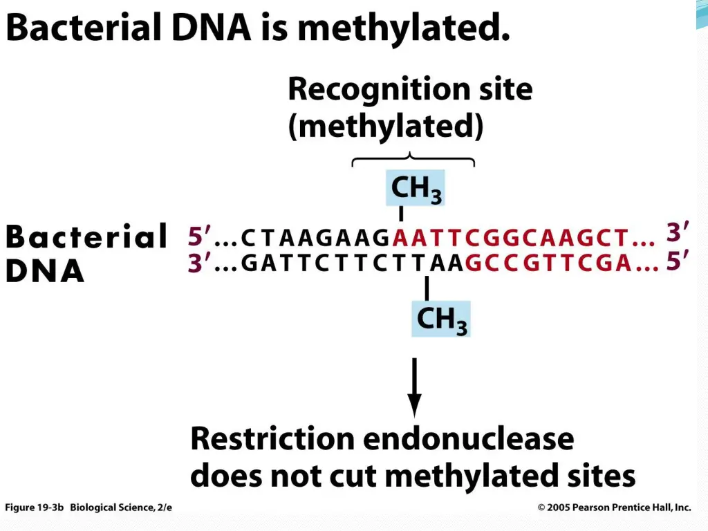 slide10