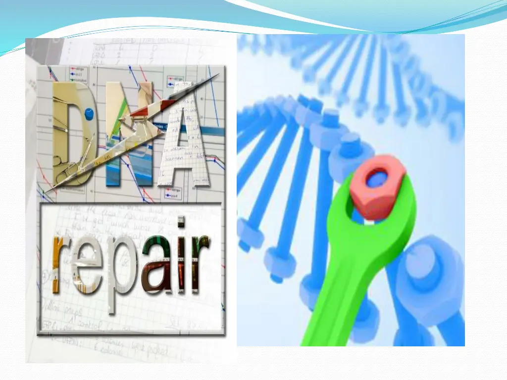 slide15
