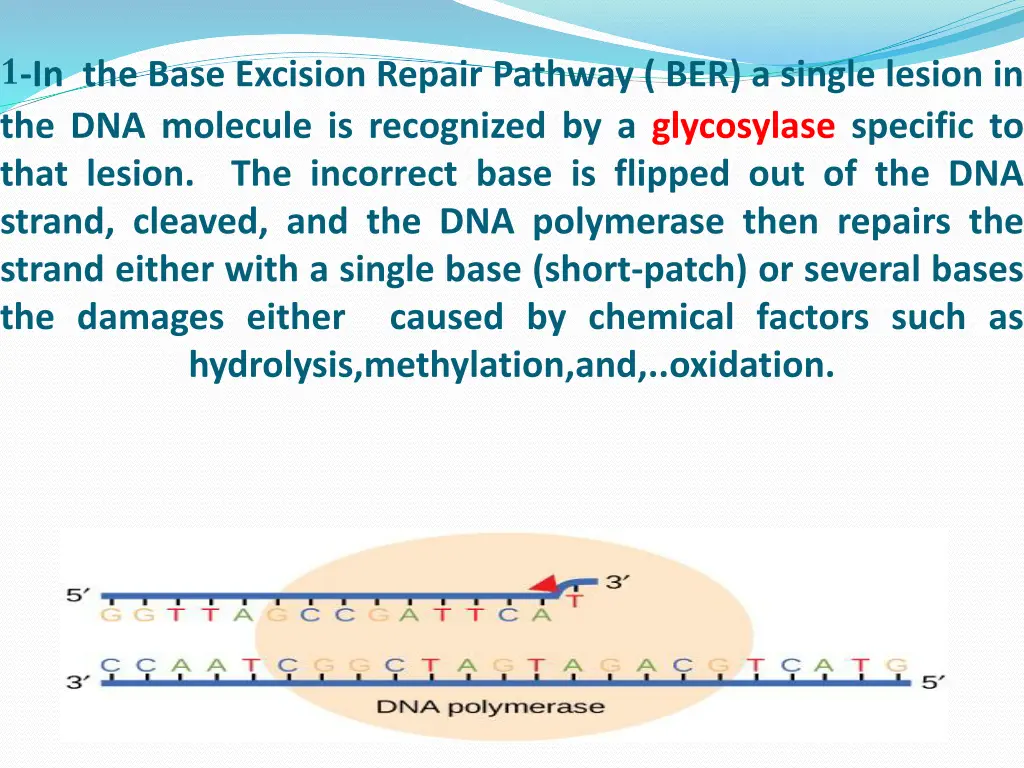 slide18