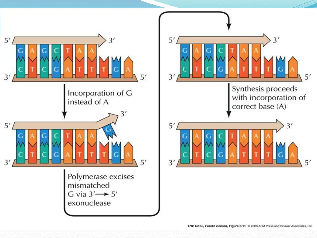 slide21