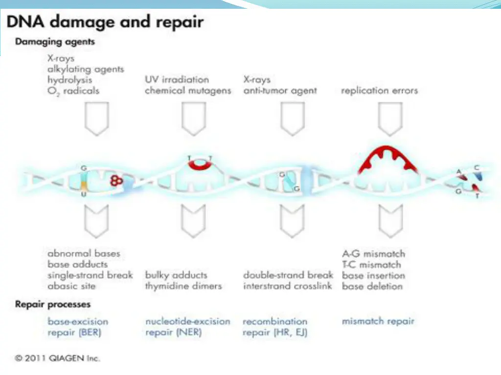 slide24