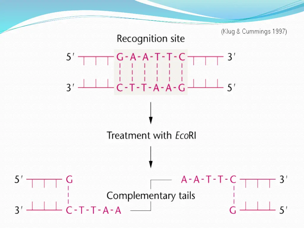 slide9