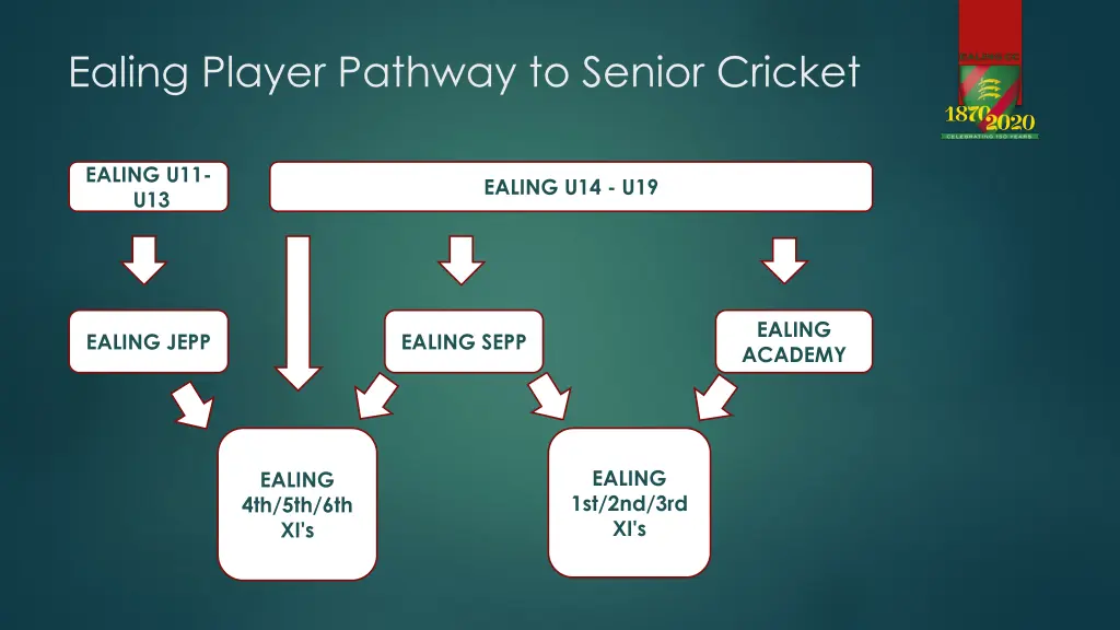 ealing player pathway to senior cricket