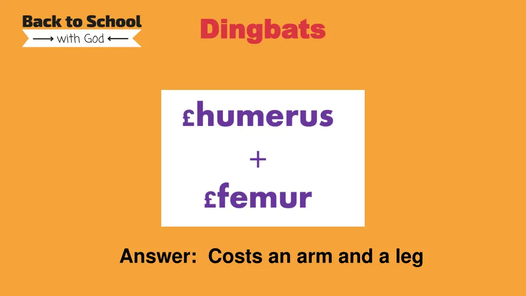 dingbats dingbats 5