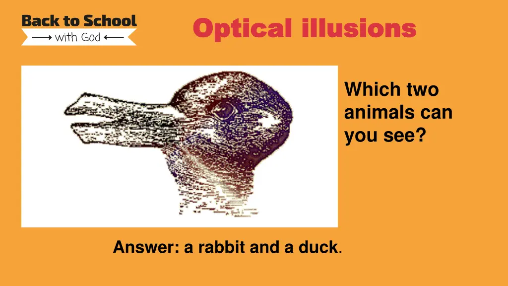 optical illusions optical illusions 1