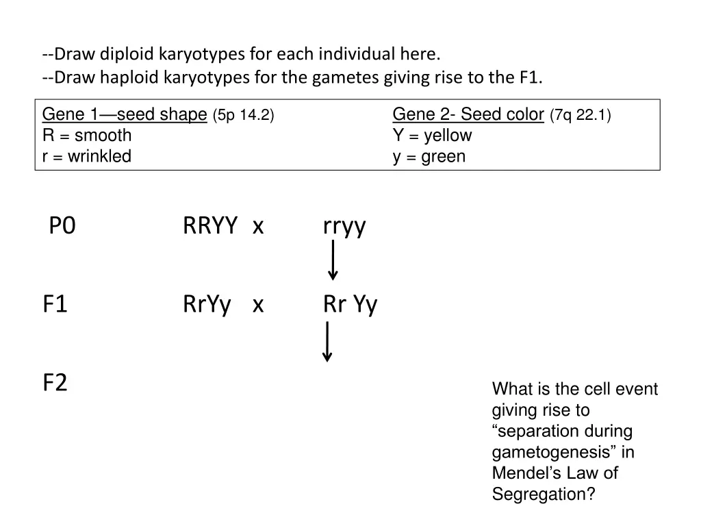 draw diploid karyotypes for each individual here