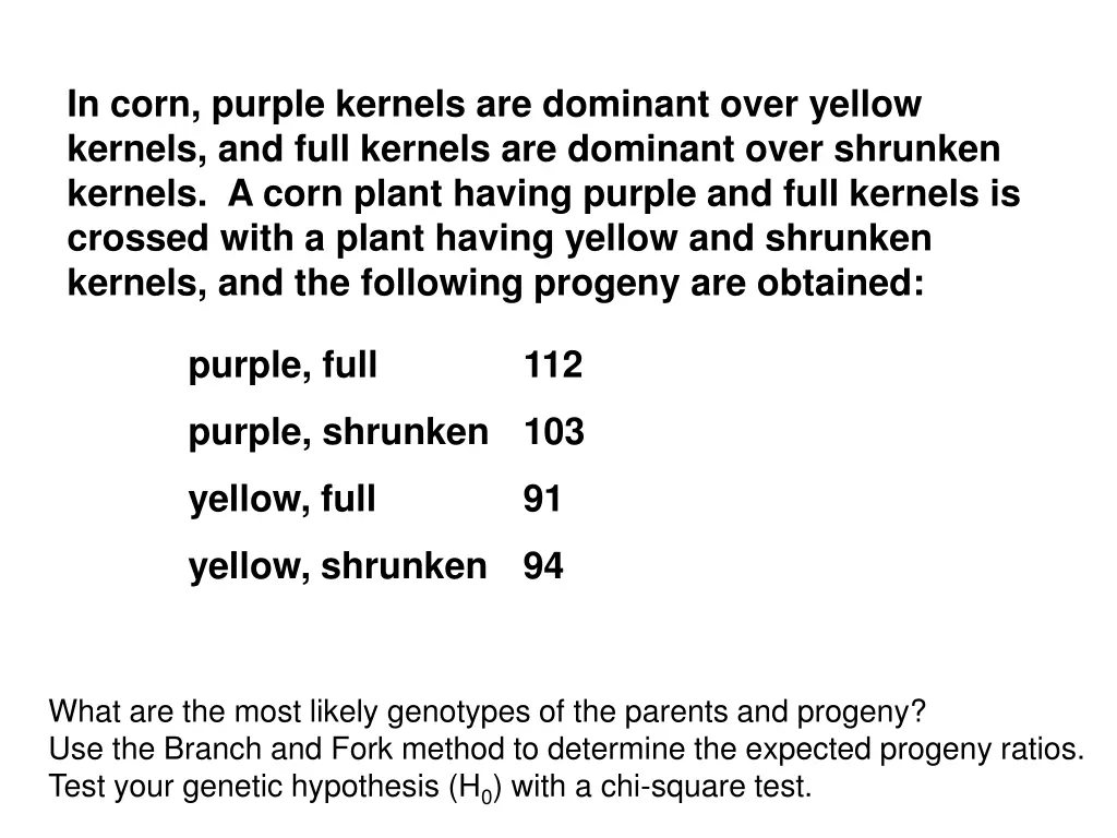 in corn purple kernels are dominant over yellow
