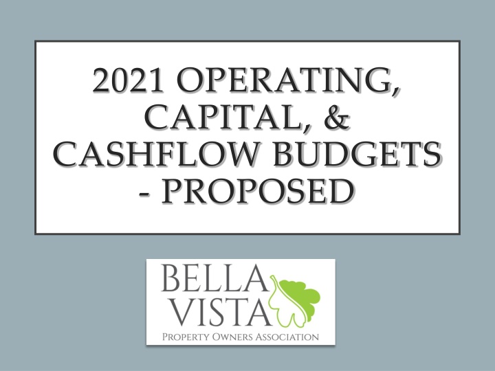 2021 operating capital cashflow budgets proposed