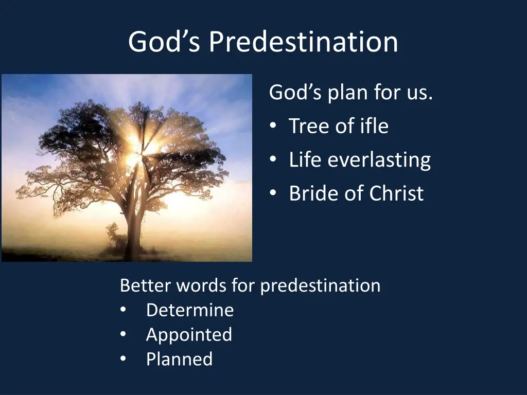 god s predestination