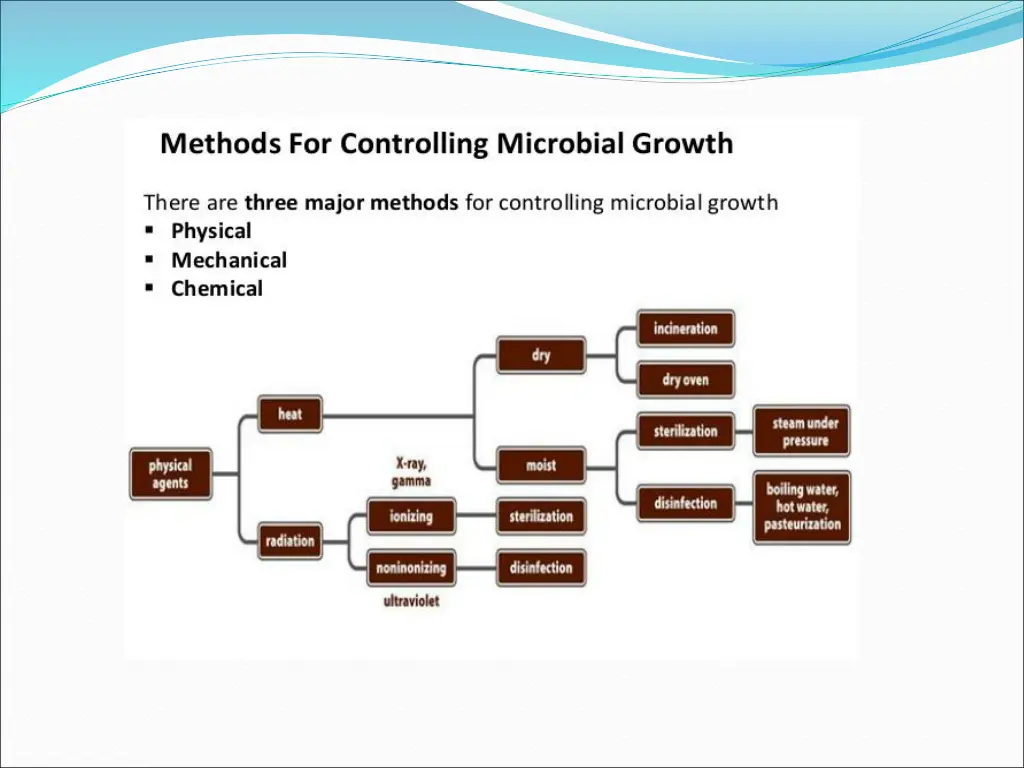 slide8
