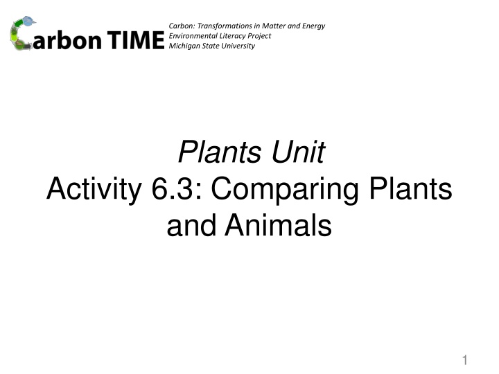 carbon transformations in matter and energy