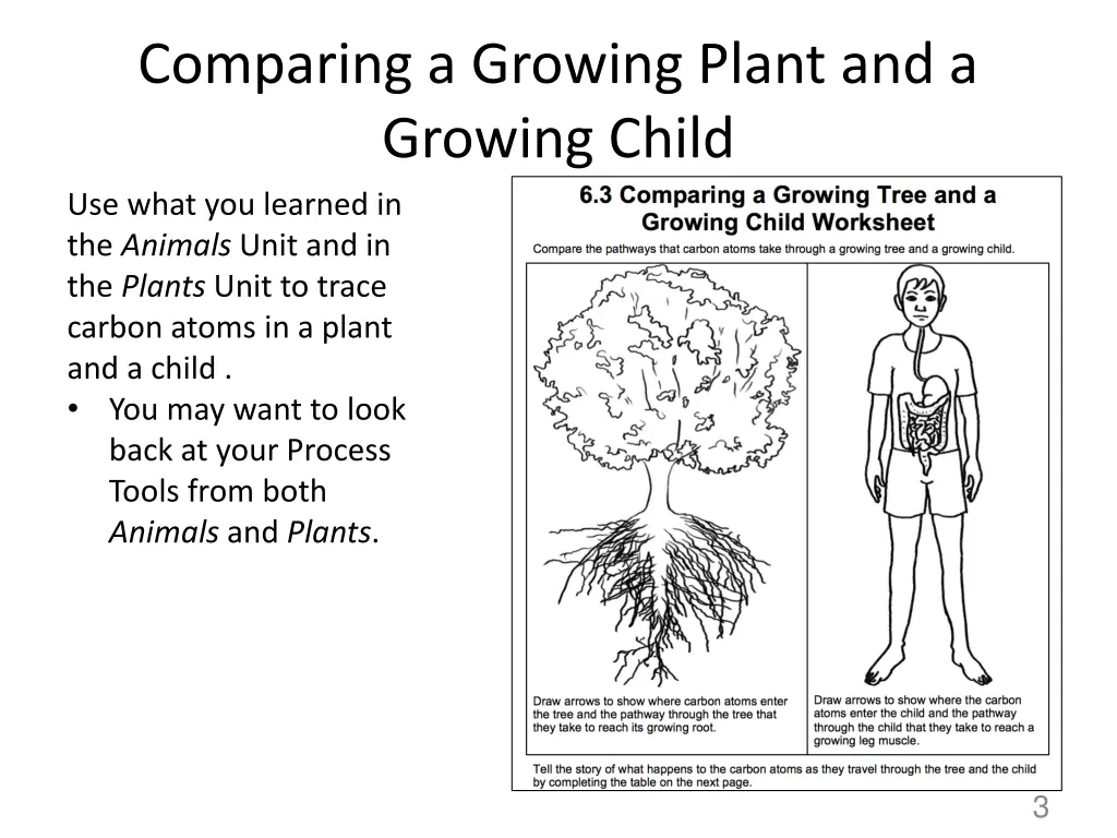 comparing a growing plant and a growing child