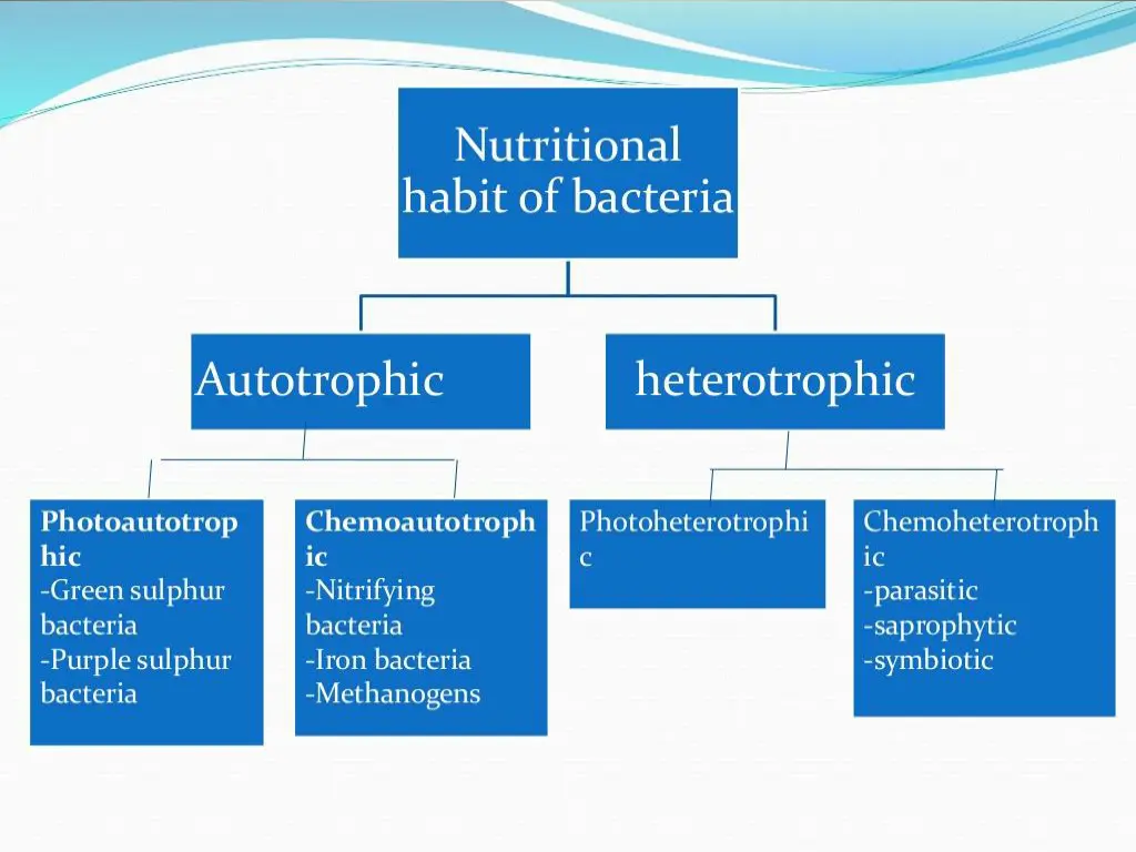 slide3