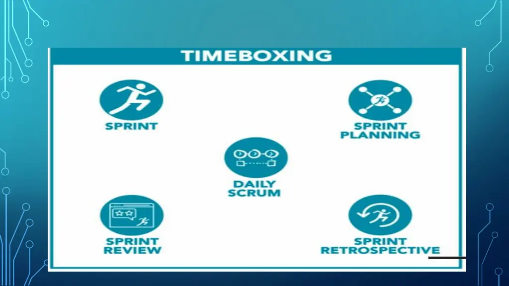 slide7