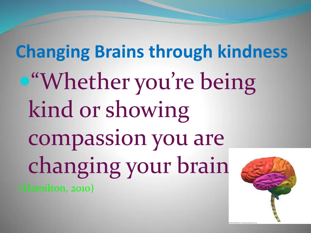 changing brains through kindness whether
