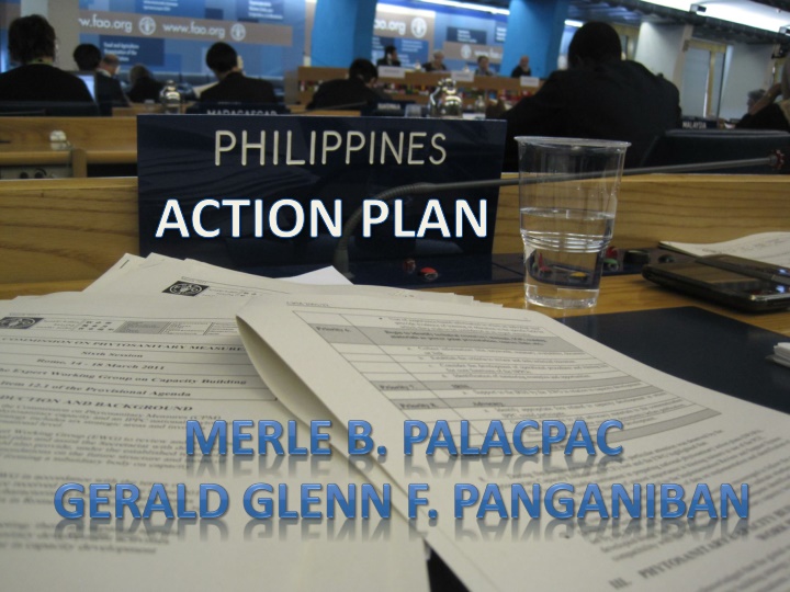 action plan