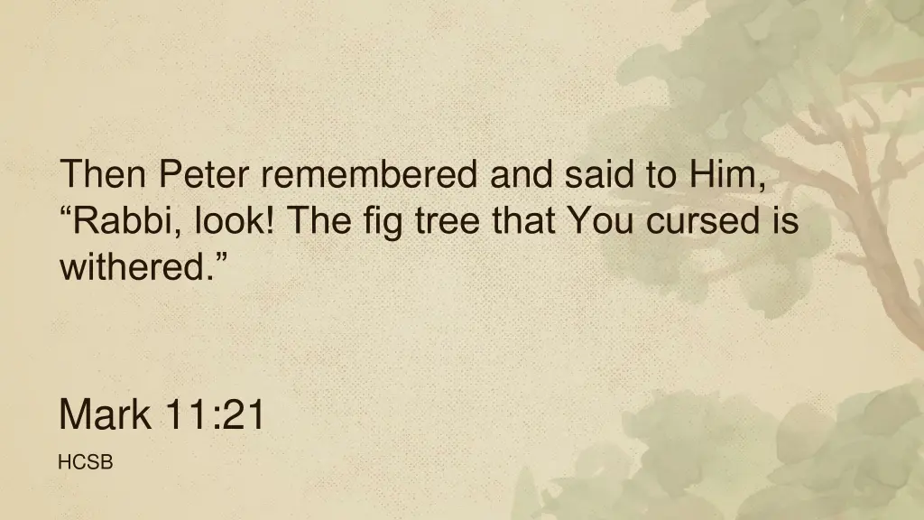 then peter remembered and said to him rabbi look