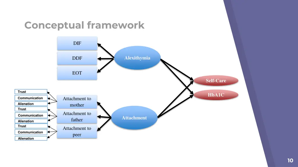 conceptual framework