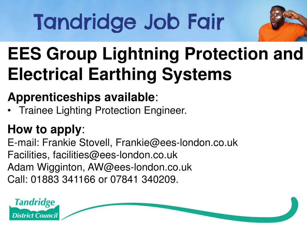 ees group lightning protection and electrical