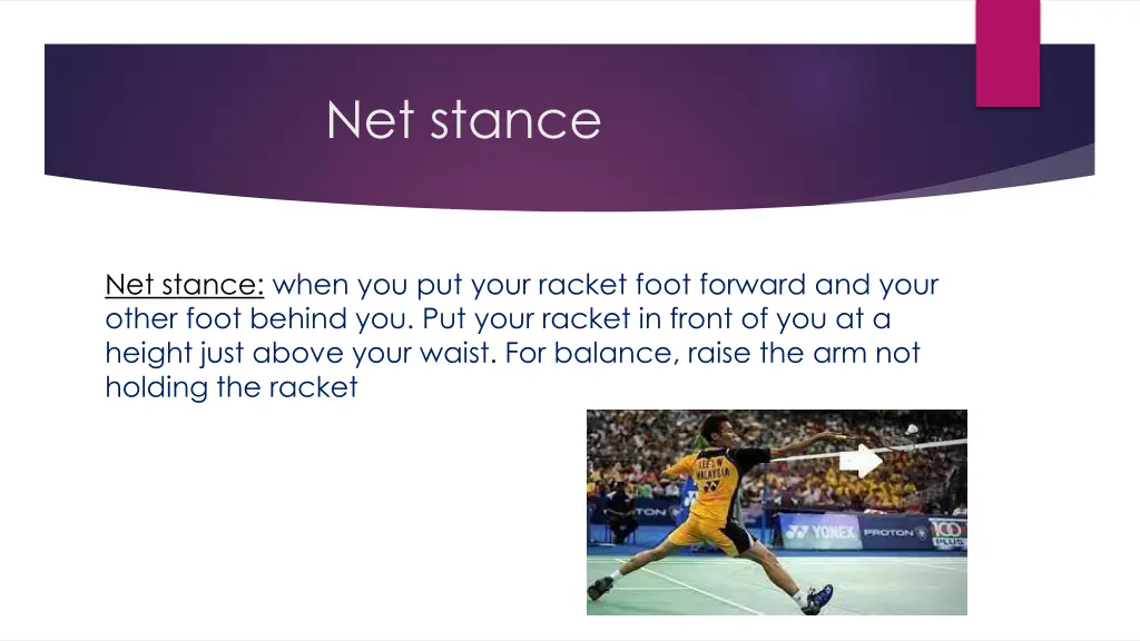 net stance
