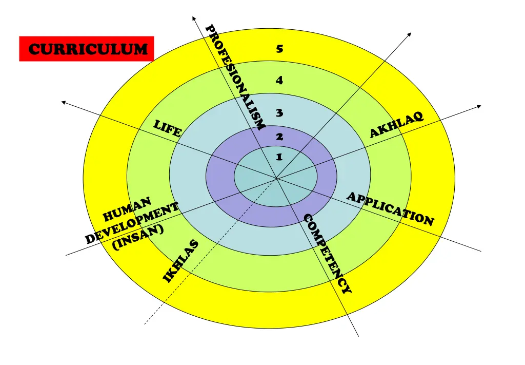 curriculum