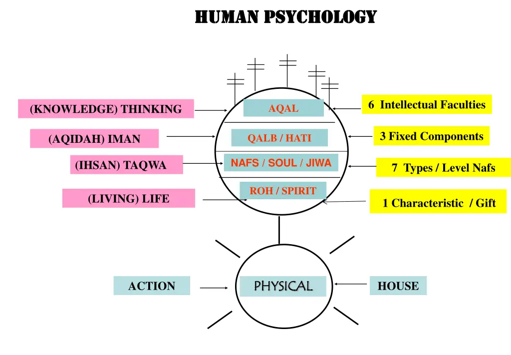 human psychology human psychology