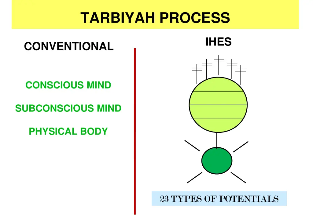 tarbiyah process 2