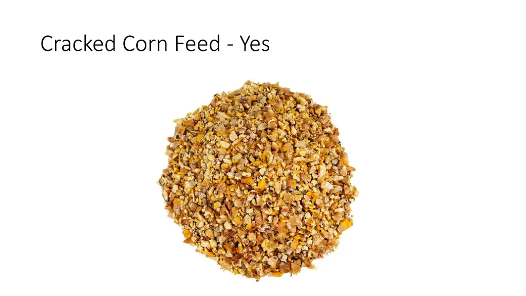 cracked corn feed yes