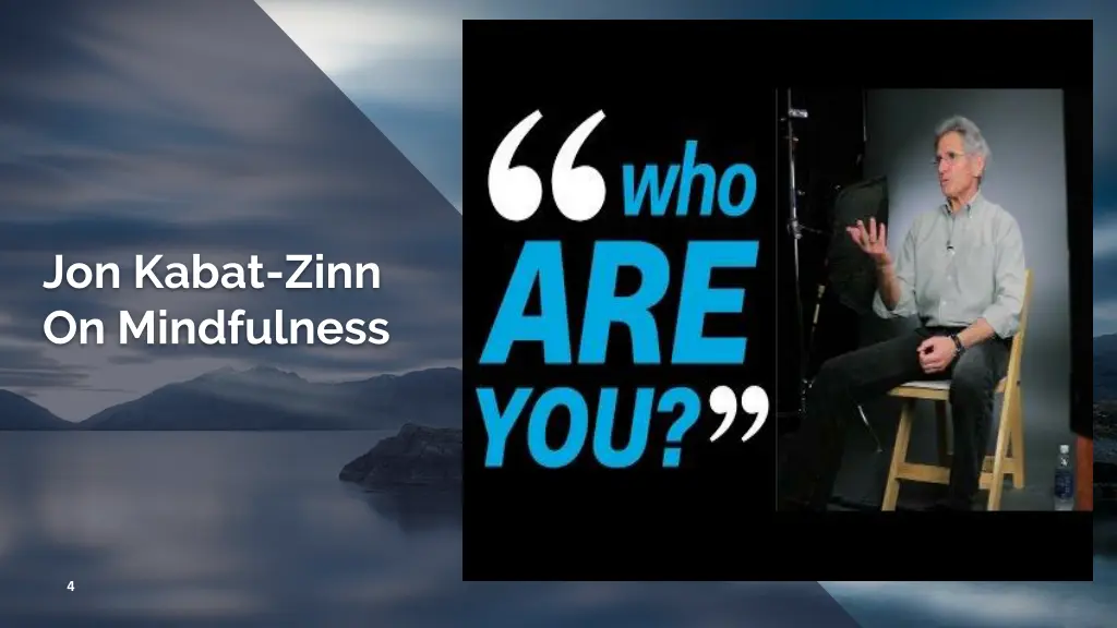 jon kabat zinn me me me