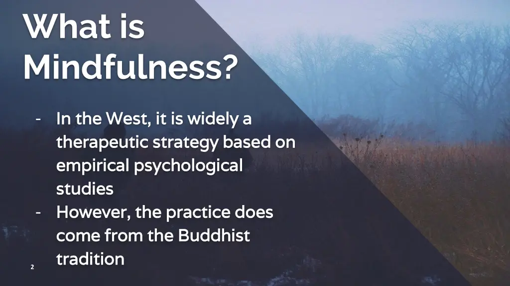 what is mindfulness