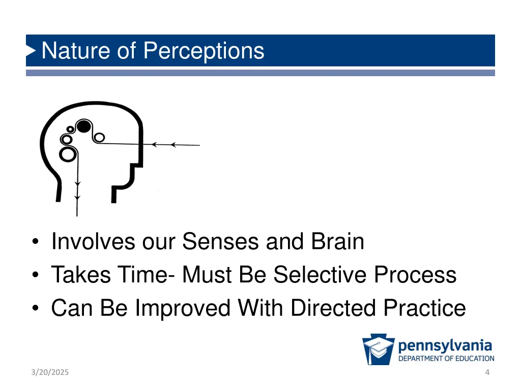 nature of perceptions