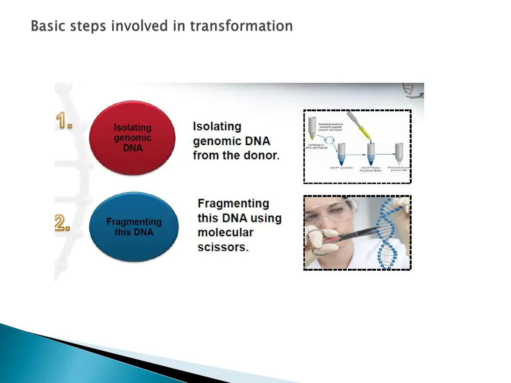 slide10