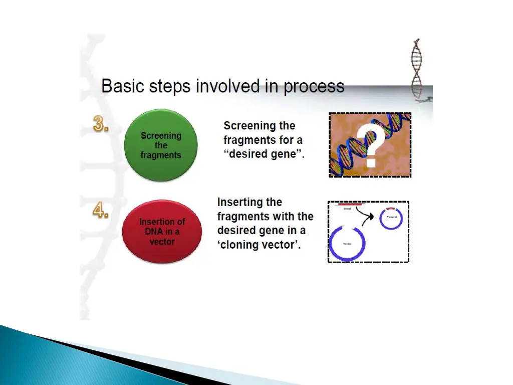 slide11
