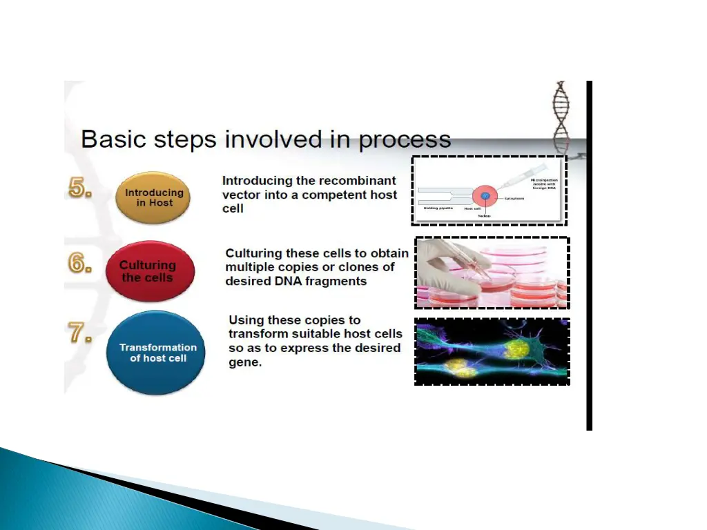 slide12