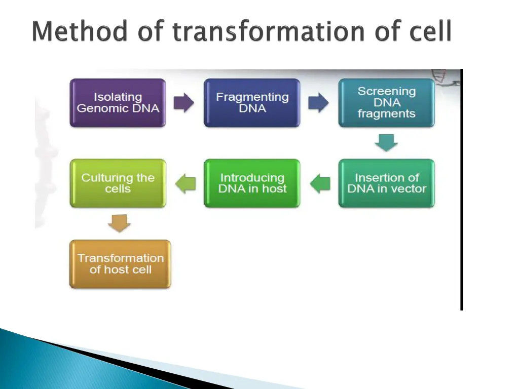 slide9