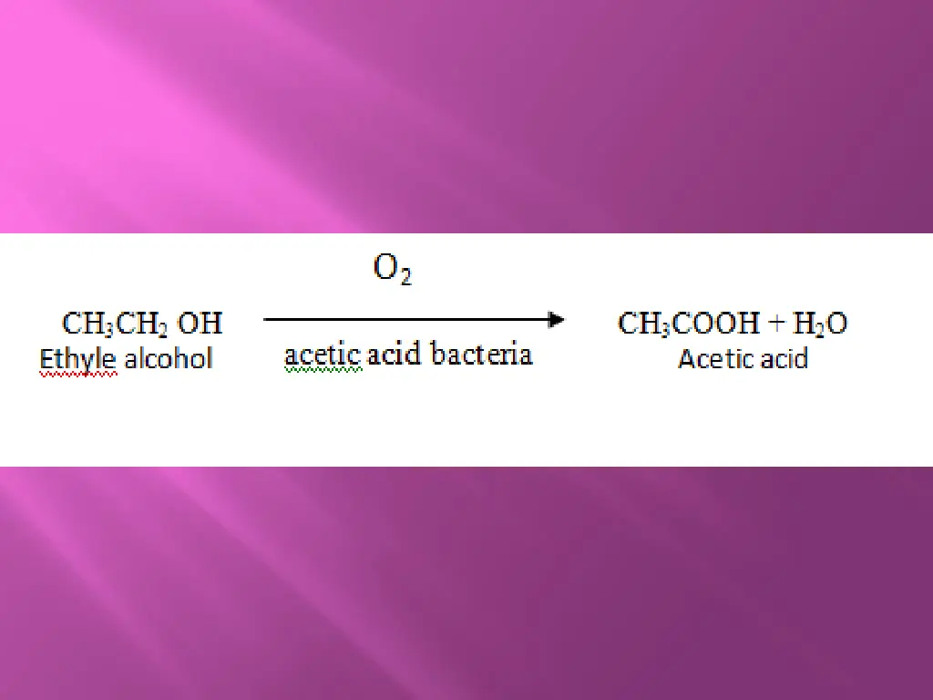 slide15
