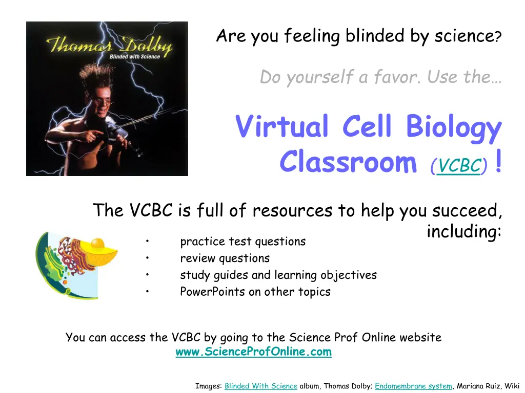 are you feeling blinded by science