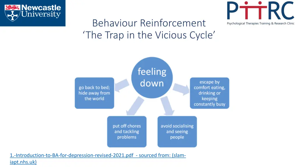 behaviour reinforcement the trap in the vicious 1