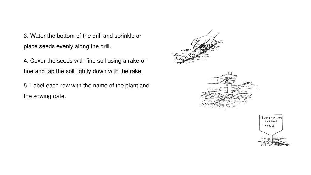 3 water the bottom of the drill and sprinkle or