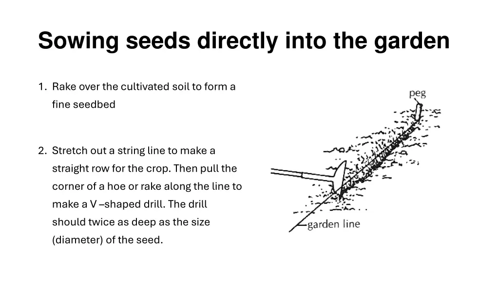 sowing seeds directly into the garden