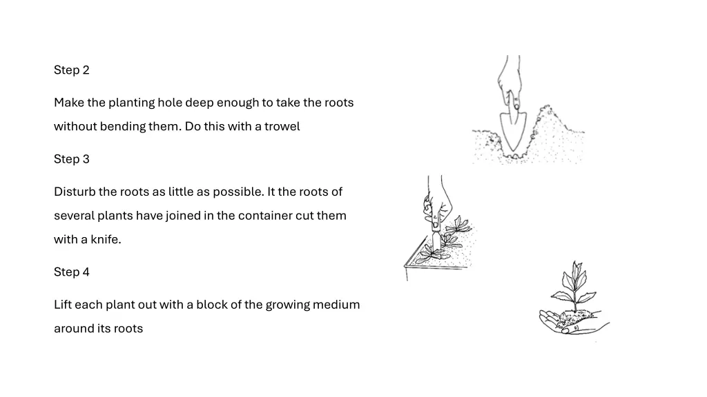step 2 1