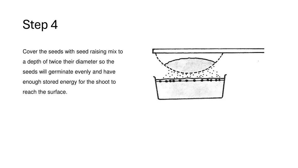 step 4