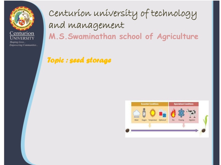 centurion university of technology centurion