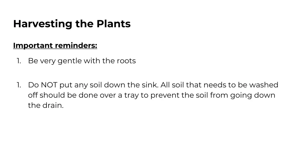 harvesting the plants